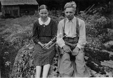 Anna Koivisto (os. Mäkinen) ja Sulo Niemi