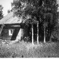 Niemen talo 40-luvun lopussa