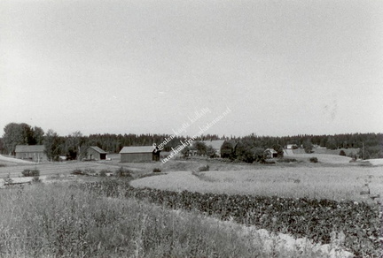 Vanha-Peltomäki, järven takana näkyy Valkama